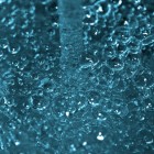 Beneficial Microbes in Hydroponics