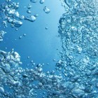 Hydro-Organic Nitrification